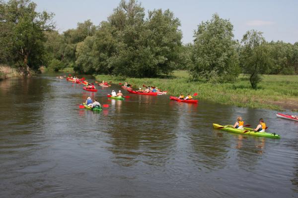 18v2013_08.jpg