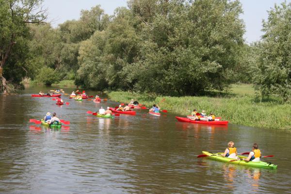 18v2013_09.jpg