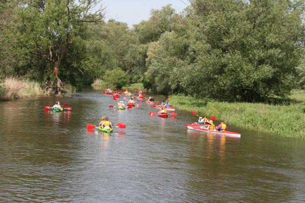 18v2013_10.jpg