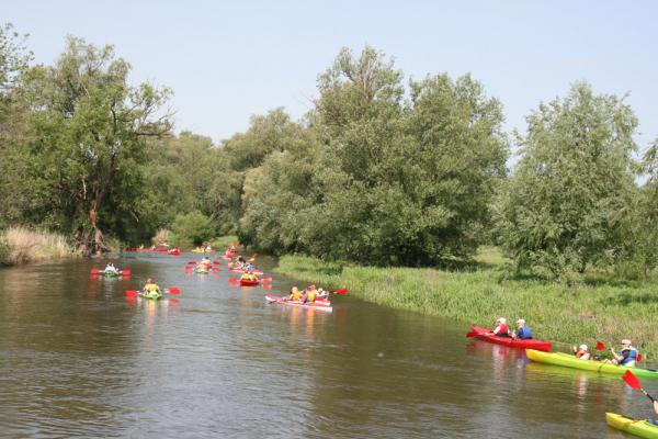 18v2013_11.jpg
