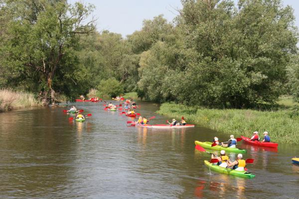 18v2013_12.jpg